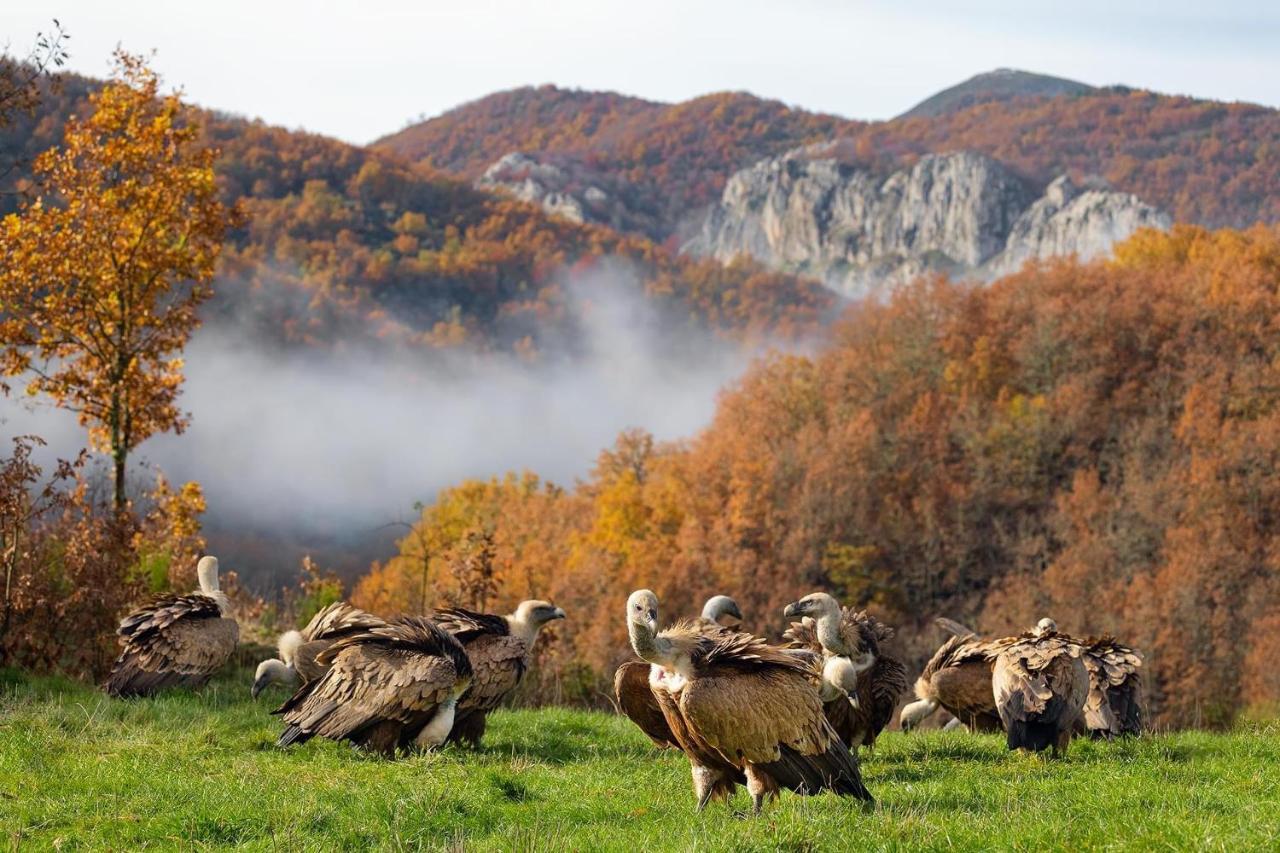 Hotel Rural El Sabinar Cremenes Экстерьер фото